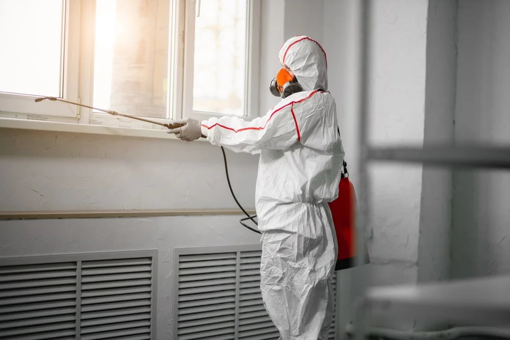 Professional mold remediation services in Readyville, TN